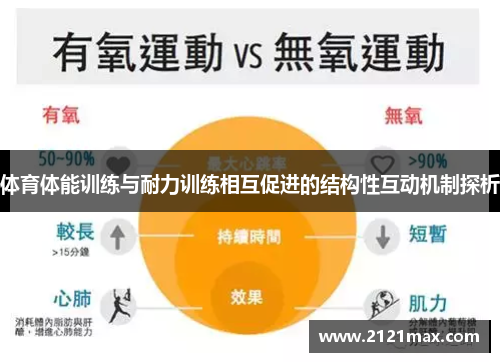 体育体能训练与耐力训练相互促进的结构性互动机制探析